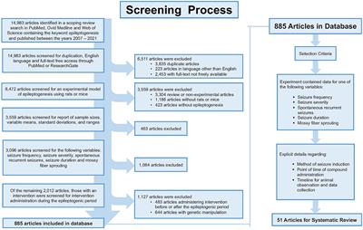 Scoping review of disease-modifying effect of drugs in experimental epilepsy